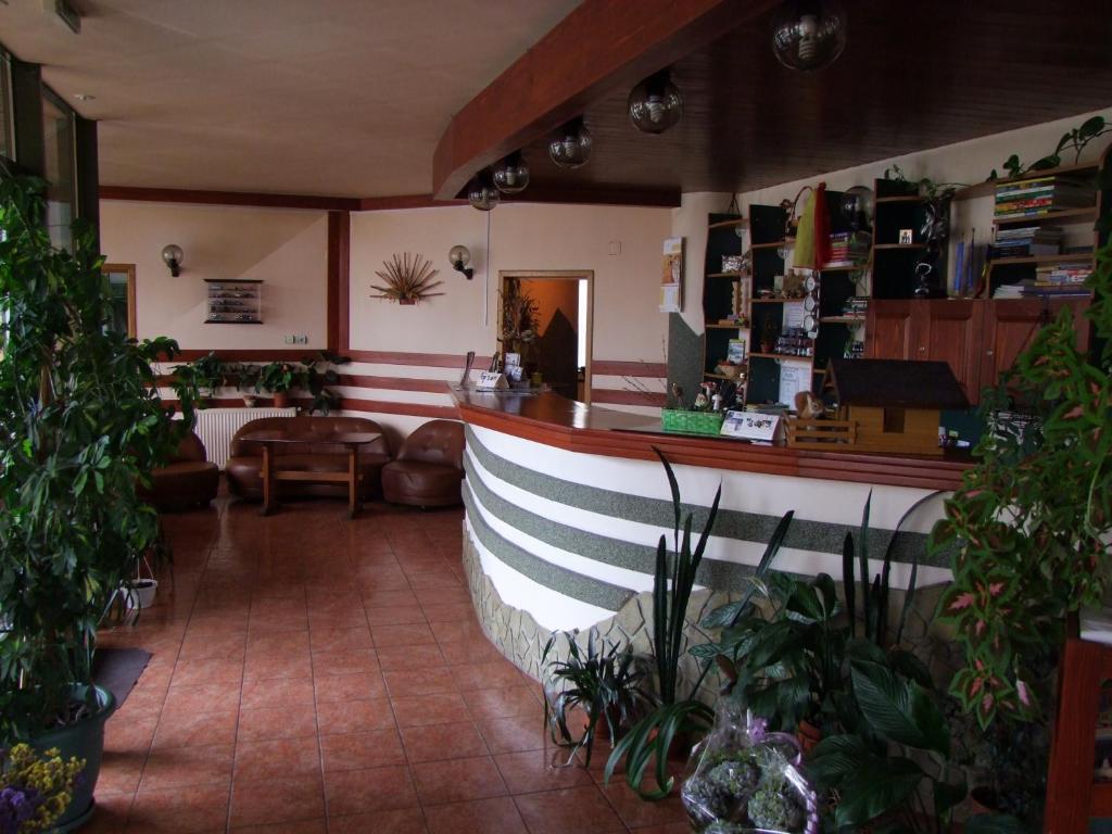 Hotel Silva Vatra Dornei Zewnętrze zdjęcie
